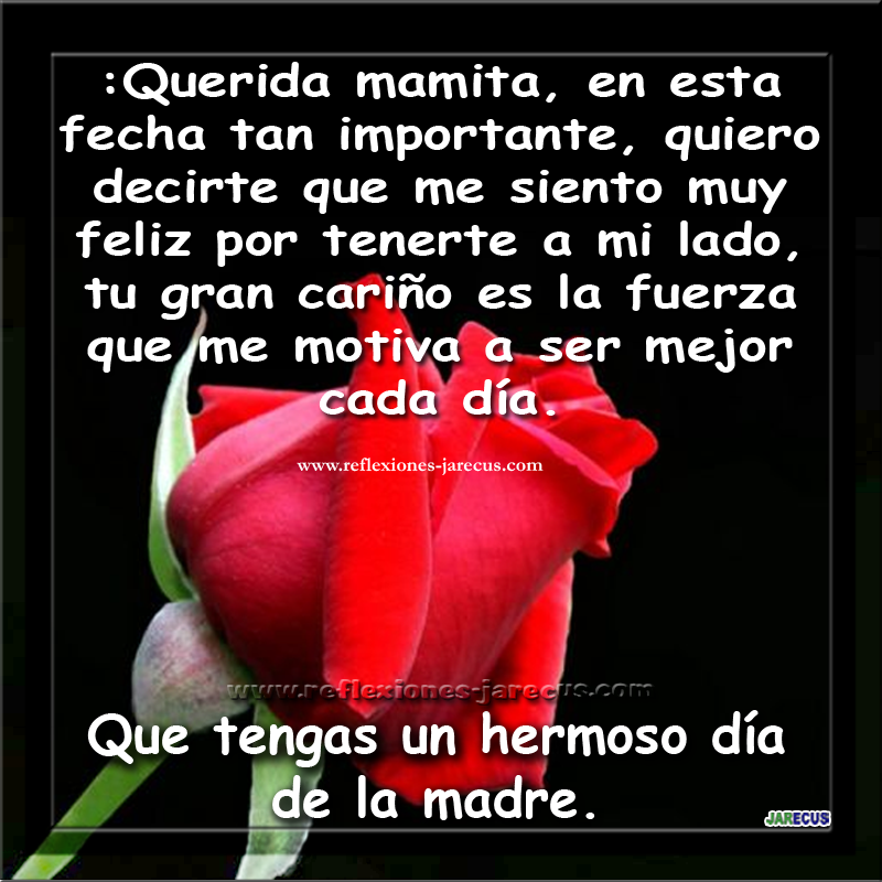 Feliz día de la madre, que tengas un hermoso día 