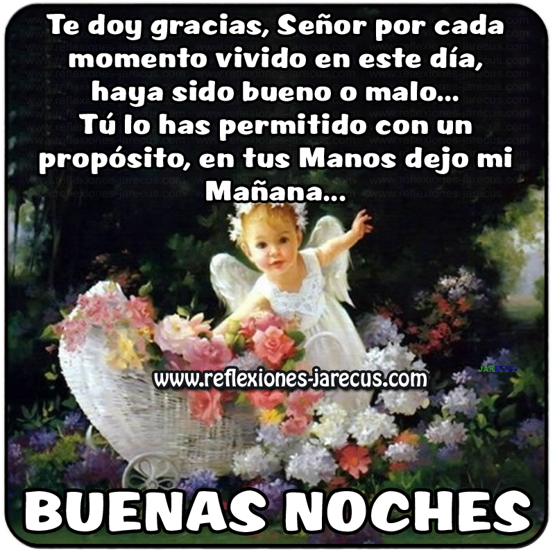 Gracias por cada momento vivido, Buenas noches