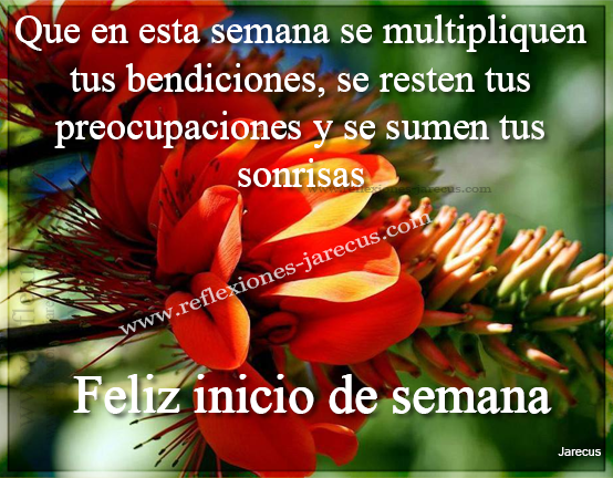 Que en esta semana se multipliquen tus bendiciones, se resten tus preocupaciones y se sumen tus sonrisas. Feliz inicio de semana.