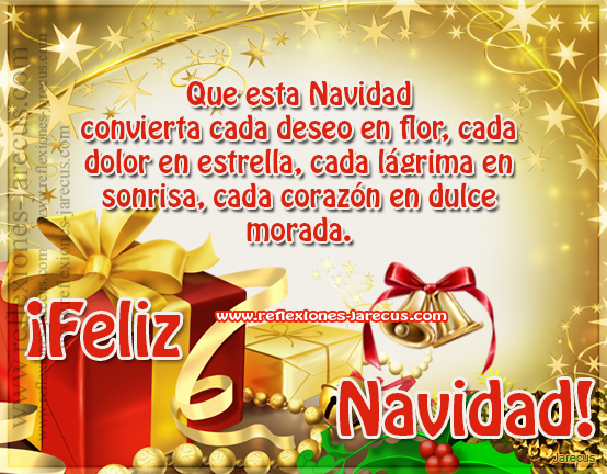 Que esta Navidad convierta cada deseo en flor