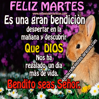 Es una gran bendición despertar en la mañana, Feliz Martes
