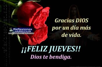 Feliz Jueves, gracias Señor por la vida y tus bendiciones.