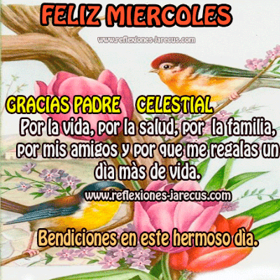 Gracias Padre celestial por la vida, Feliz Miércoles