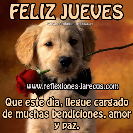 Feliz Jueves Que este día llegue cargado de muchas bendiciones, amor y paz.