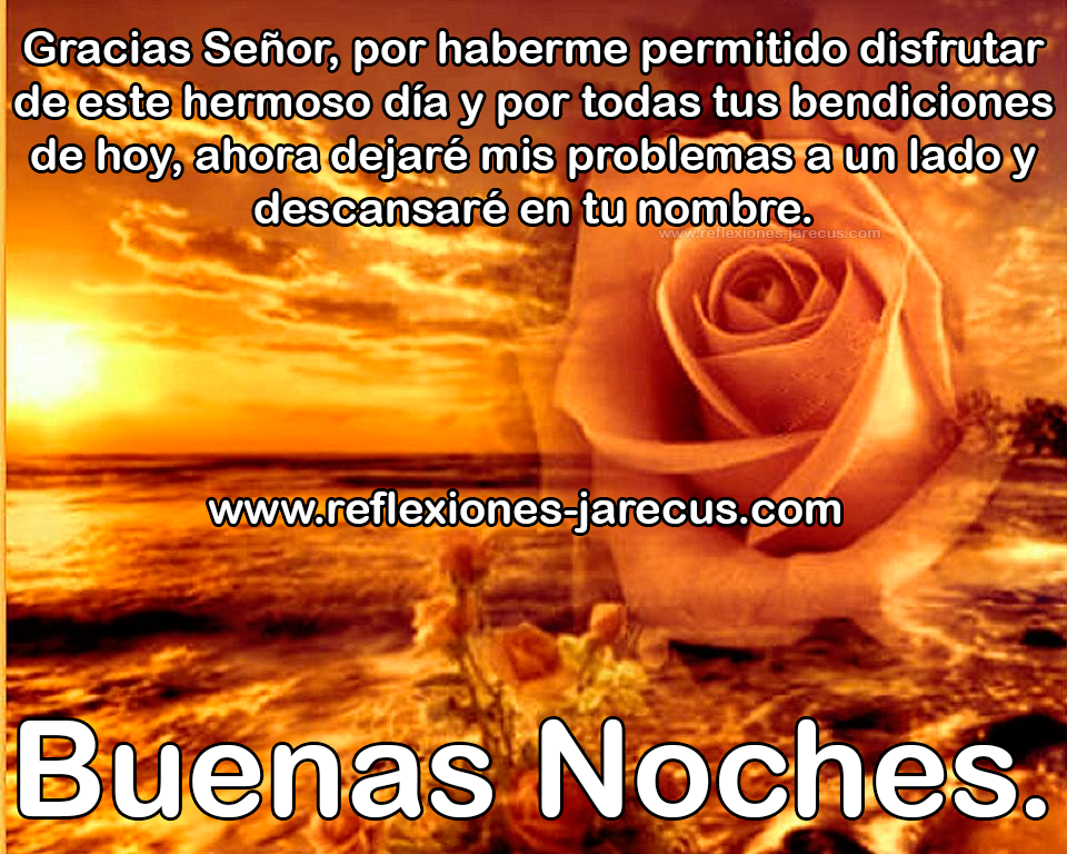 Gracias Señor por tus bendiciones de este día, buenas noches