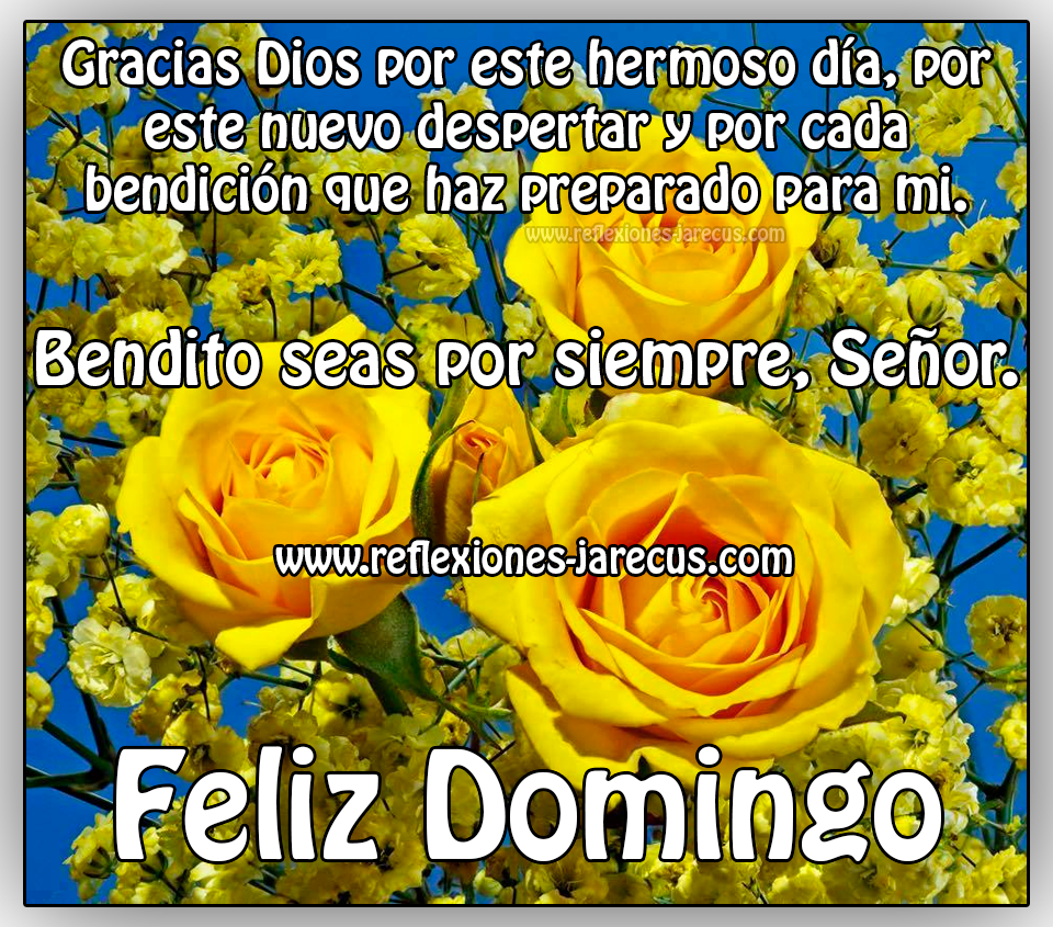 Feliz domingo, gracias Dios por este hermoso día