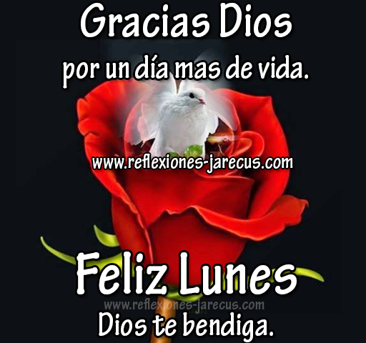 Gracias Dios por un día más de vida, Feliz Lunes - Frases en imágenes