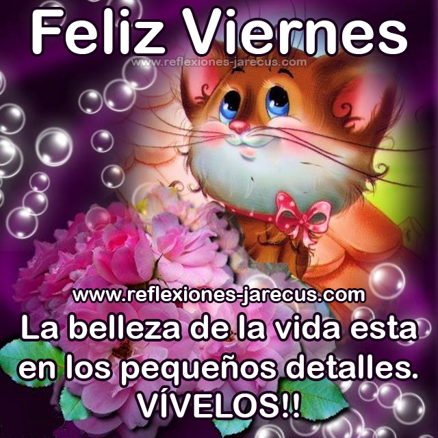 Feliz Viernes.  La belleza de la vida esta en los pequeños detalles.  VÍVELOS