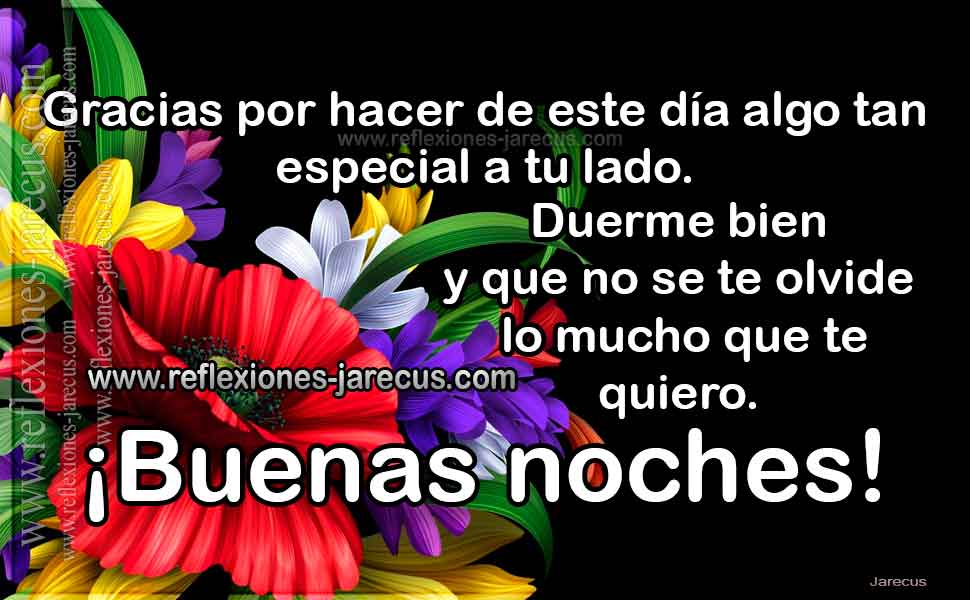 Buenas noches, gracias por este día especial - Frases de buenas noches