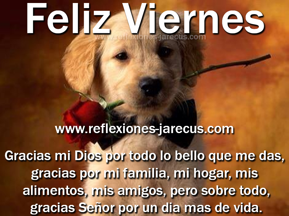Gracias Dios por todo lo bello que me das, Feliz Viernes