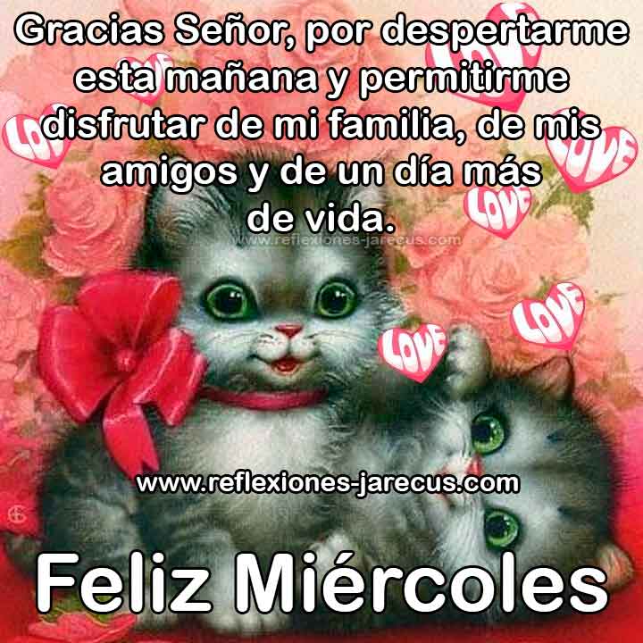 Gracias Señor, por despertarme esta mañana y permitirme disfrutar de mi familia, de mis amigos y de un día mas de vida.  Feliz miércoles