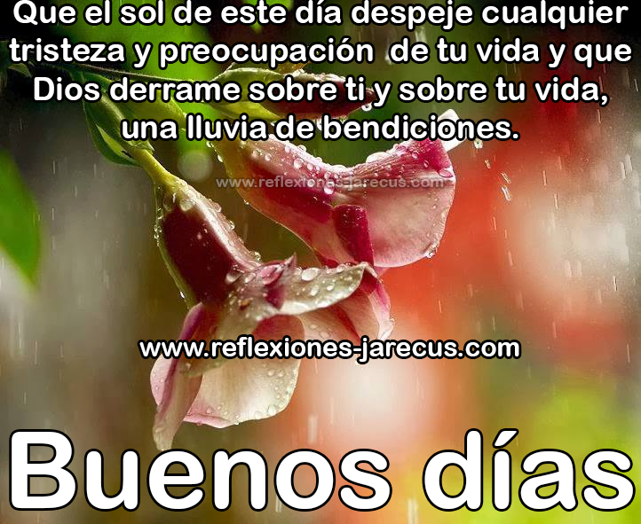 Que el sol de este día despeje cualquier tristeza y preocupación de tu vida y que Dios derrame sobre ti y sobre tu vida, una lluvia de bendiciones. Buenos Días