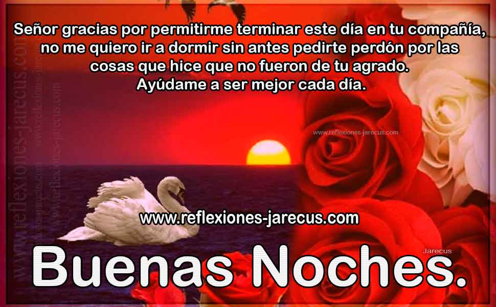 Señor gracias por permitirme terminar este día, Buenas noches