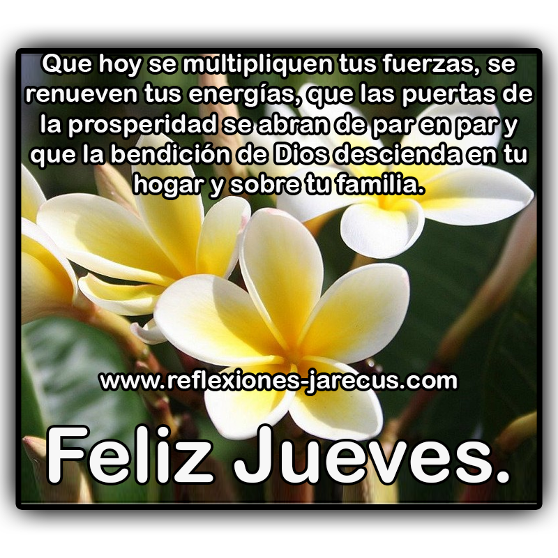 Que hoy se multipliquen tus fuerzas, se renueven tus energías, que las puertas de la prosperidad se abran de par en par y que la bendición de Dios descienda en tu hogar y sobre tu familia. Feliz Jueves