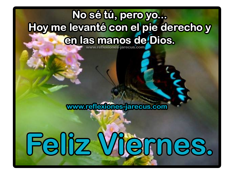 No sé tú, pero yo... Hoy me levanté con el pie derecho y en las manos de Dios. Feliz Viernes.