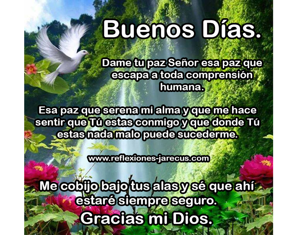 Dame tu paz señor esa paz que escapa a toda comprensión humana. esa paz que serena mi alma y que me hace sentir que tú estás conmigo y que donde Tú estás nada malo puede sucederme.