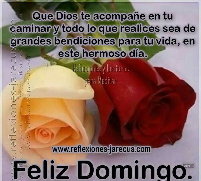 Feliz domingo, que Dios te acompañe en tu caminar y todo lo que realices sea de grandes bendiciones para tu vida, en este hermoso día.