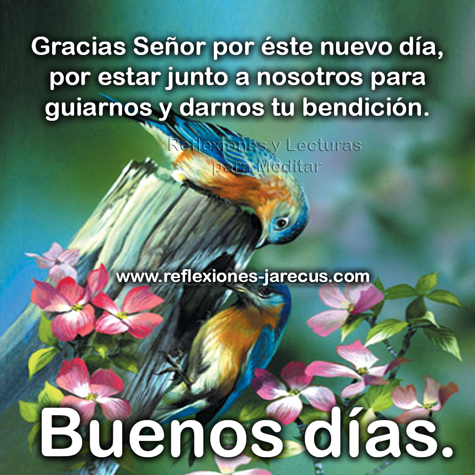 Gracias Señor por éste nuevo día, por estar junto a nosotros para guiarnos y darnos tu bendición. Buenos días.