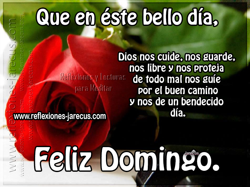 Que en éste bello día, Dios nos cuide, nos guarde, nos libre y nos proteja de todo mal. nos guíe por el buen camino y nos de un bendecido día. Feliz domingo 