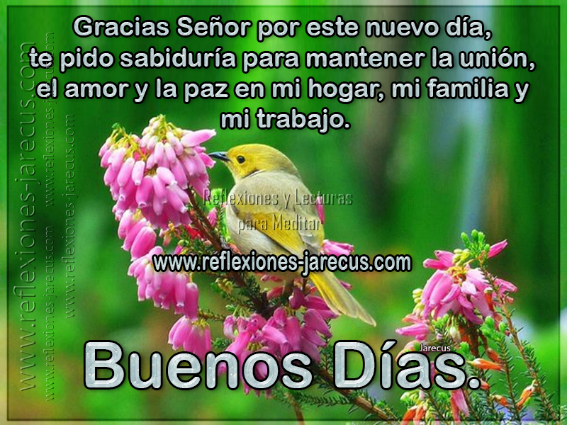 Gracias Señor por este nuevo día, te pido sabiduría para mantener la unión, el amor, y la paz en mi hogar, mi familia y mi trabajo. Buenos días
