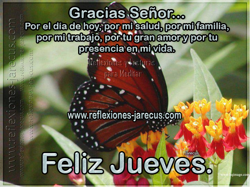 Gracias Señor, por el día de hoy, por mi salud, por mi familia, por mi trabajo, por tu gran amor y por tu presencia en mi vida.  Feliz Jueves