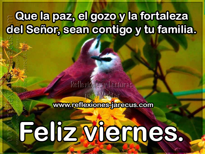 Feliz viernes, que la paz, el gozo y la fortaleza del señor, sean contigo y tu familia.
