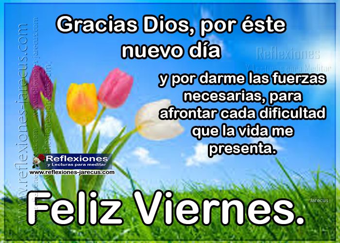Gracias Dios por éste nuevo día y por darme las fuerza necesarias para afrontar cada dificultad que la vida me presenta. Feliz viernes.