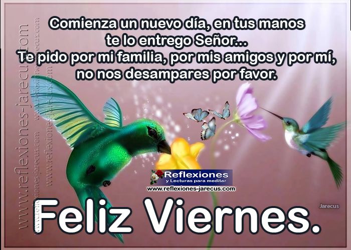 Comienza un nuevo día, en tus manos te lo entrego Señor, Te pido por mi familia, por mis amigos y por mi, no nos desampares por favor. Feliz viernes