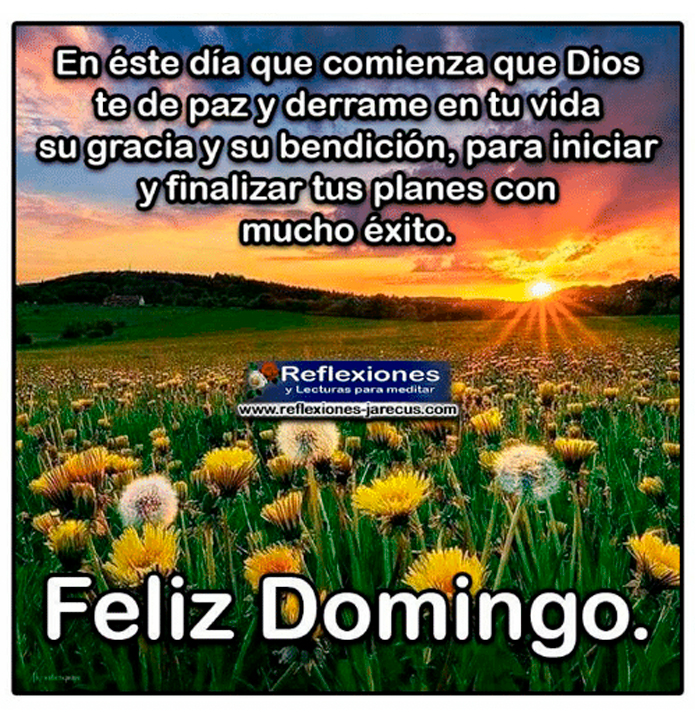 Feliz domingo, en éste día que comienza que Dios te de paz y derrame en tu vida su gracias y su bendición, para iniciar y finalizar tus planes con mucho éxito