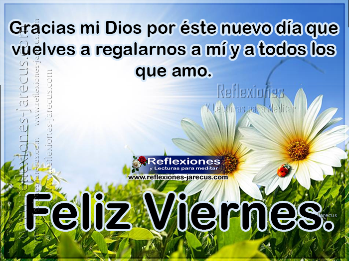 Gracias mi Dios por éste nuevo día que vuelves a regalarnos a mi y a todos los que amo. Feliz viernes.