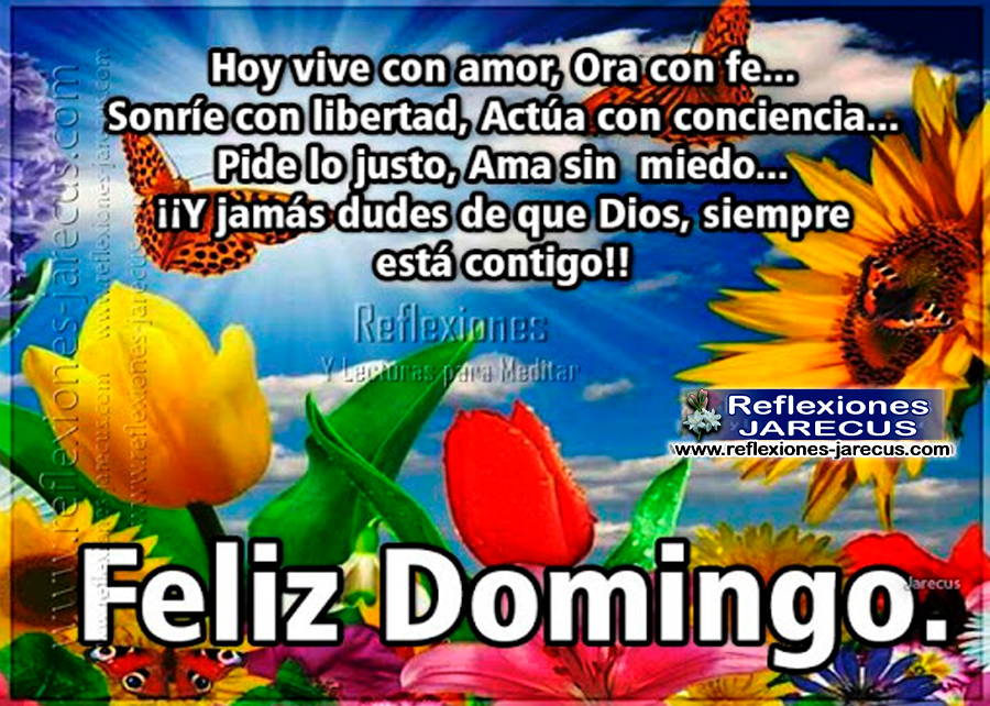hoy vive con amor, feliz domingo, buenos dias