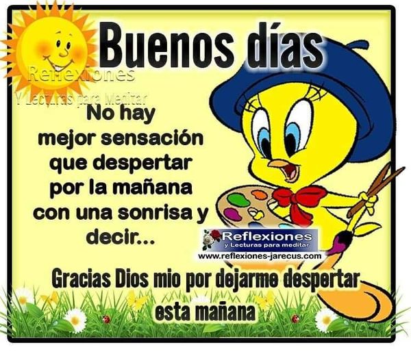 No hay mejor sensación que despertar por la mañana con una sonrisa y decir: Gracias Dios mío por dejarme despertar esta mañana