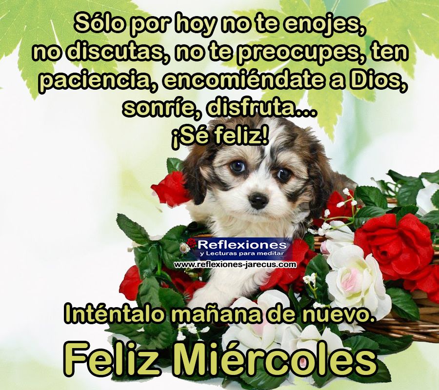 Sólo por hoy no te enojes, no discutas, no te preocupes, ten paciencia, encomiéndate a Dios, sonríe, disfruta, Sé feliz.  Inténtalo mañana de nuevo.  Feliz miércoles