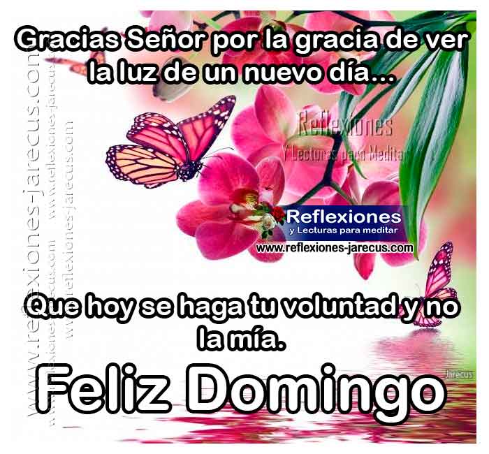Gracias Señor por la gracia de ver la luz de un nuevo día Que hoy se haga tu voluntad y no la mía. Feliz domingo