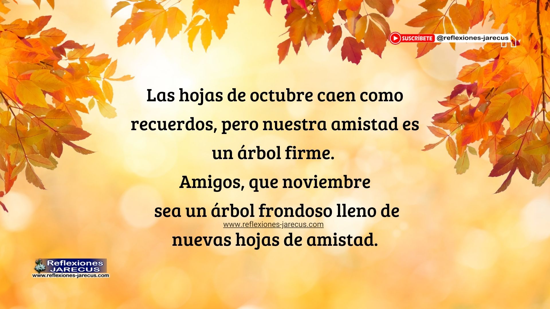 Imagen simbólica de hojas de amistad en transición de octubre a noviembre