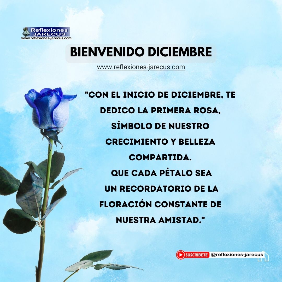 "Con el inicio de diciembre, te dedico la primera rosa, símbolo de nuestro crecimiento y belleza compartida. Que cada pétalo sea un recordatorio de la floración constante de nuestra amistad."