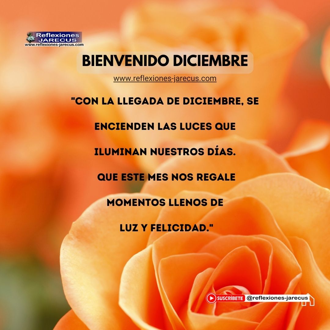 "Con la llegada de diciembre, se encienden las luces que iluminan nuestros días. Que este mes nos regale momentos llenos de luz y felicidad."