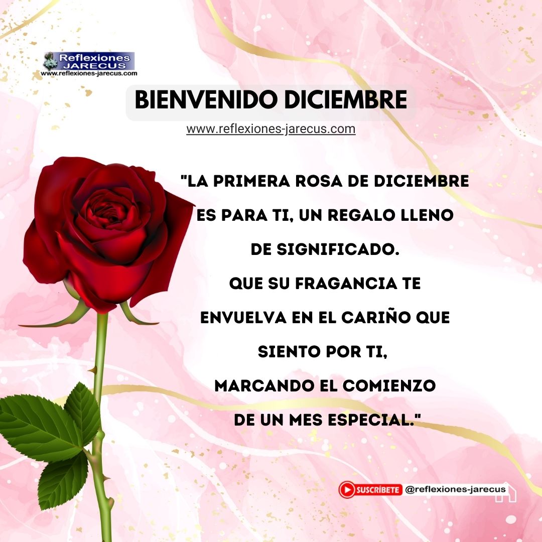 "La primera rosa de diciembre es para ti, un regalo lleno de significado. Que su fragancia te envuelva en el cariño que siento por ti, marcando el comienzo de un mes especial."