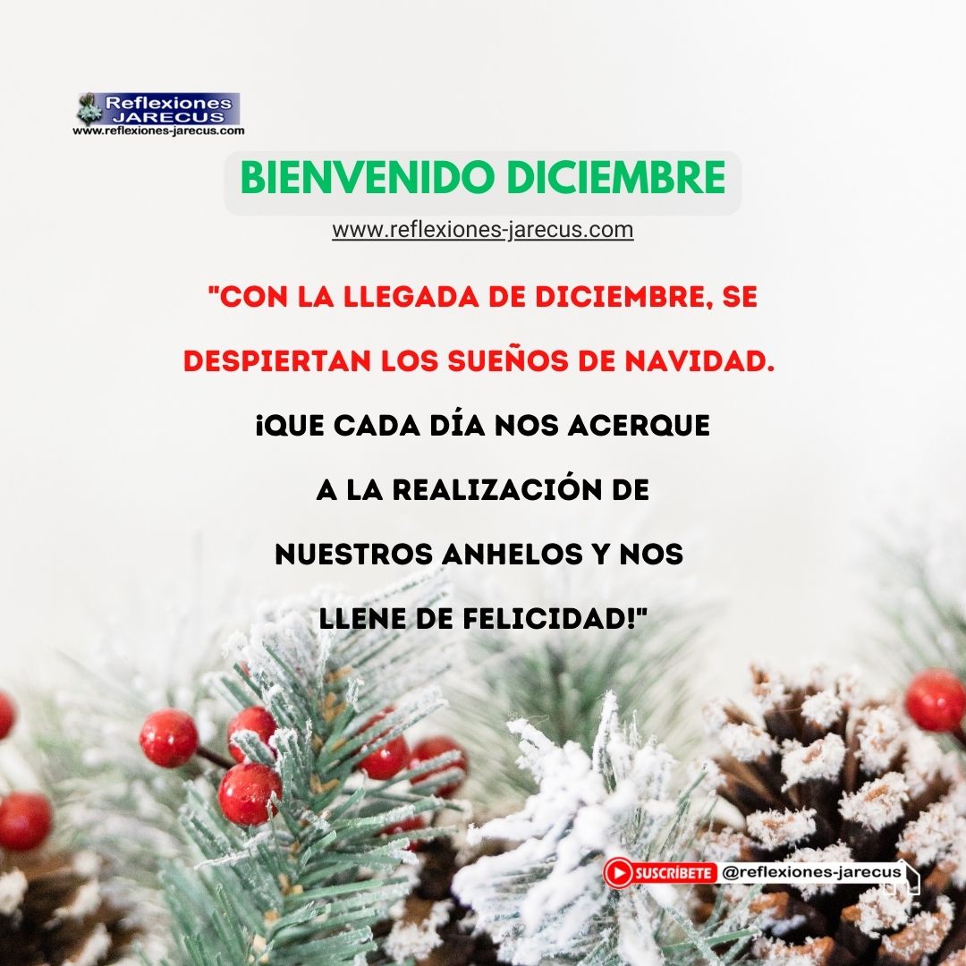 "Con la llegada de diciembre, se despiertan los sueños de Navidad. ¡Que cada día nos acerque a la realización de nuestros anhelos y nos llene de felicidad!"