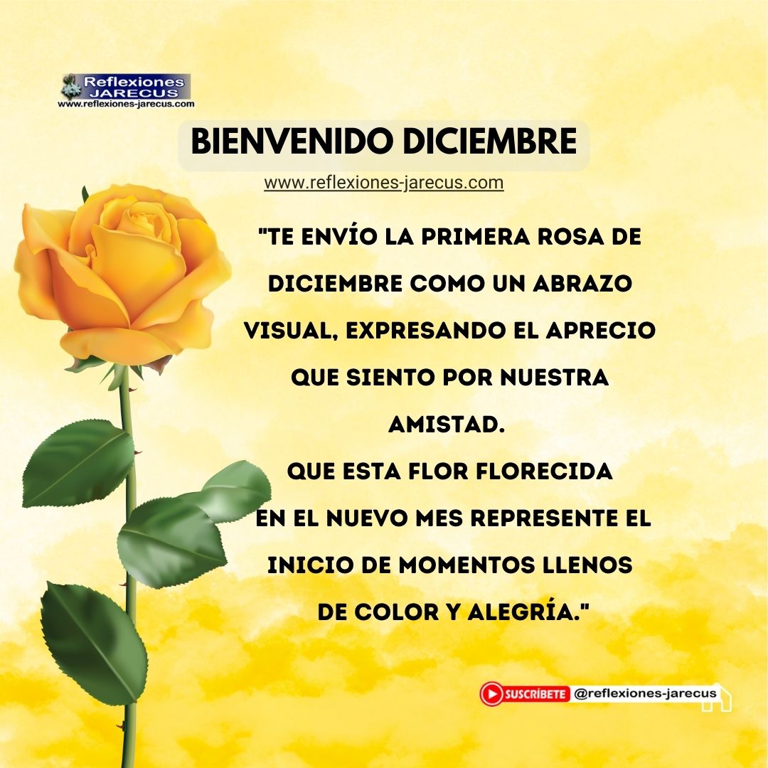 "Te envío la primera rosa de diciembre como un abrazo visual, expresando el aprecio que siento por nuestra amistad. Que esta flor florecida en el nuevo mes represente el inicio de momentos llenos de color y alegría."