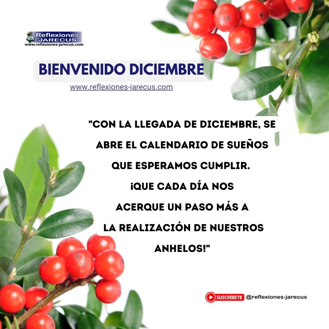 "Con la llegada de diciembre, se abre el calendario de sueños que esperamos cumplir. ¡Que cada día nos acerque un paso más a la realización de nuestros anhelos!"