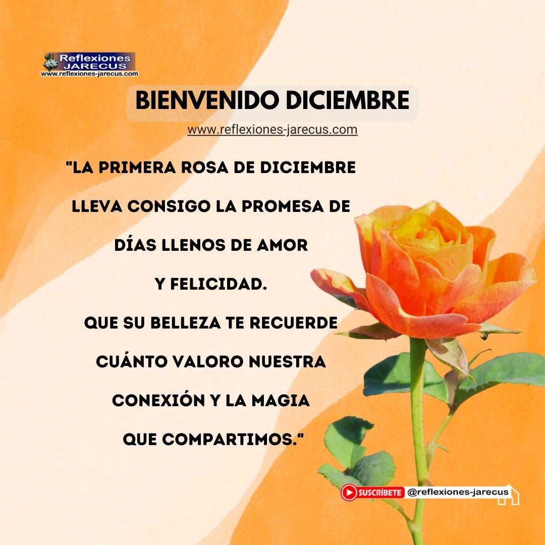 "La primera rosa de diciembre lleva consigo la promesa de días llenos de amor y felicidad. Que su belleza te recuerde cuánto valoro nuestra conexión y la magia que compartimos."
