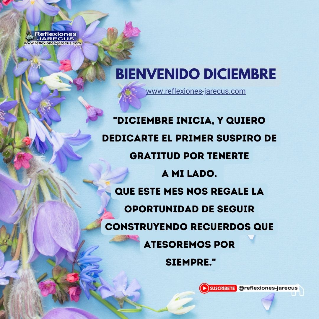 "Diciembre inicia, y quiero dedicarte el primer suspiro de gratitud por tenerte a mi lado. Que este mes nos regale la oportunidad de seguir construyendo recuerdos que atesoremos por siempre."