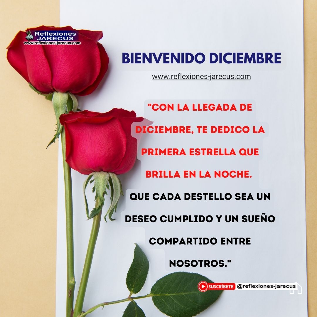 "Con la llegada de diciembre, te dedico el primer susurro de gratitud por ser parte de mi vida. Que cada día nos encuentre más unidos, compartiendo momentos que enriquezcan nuestra amistad."