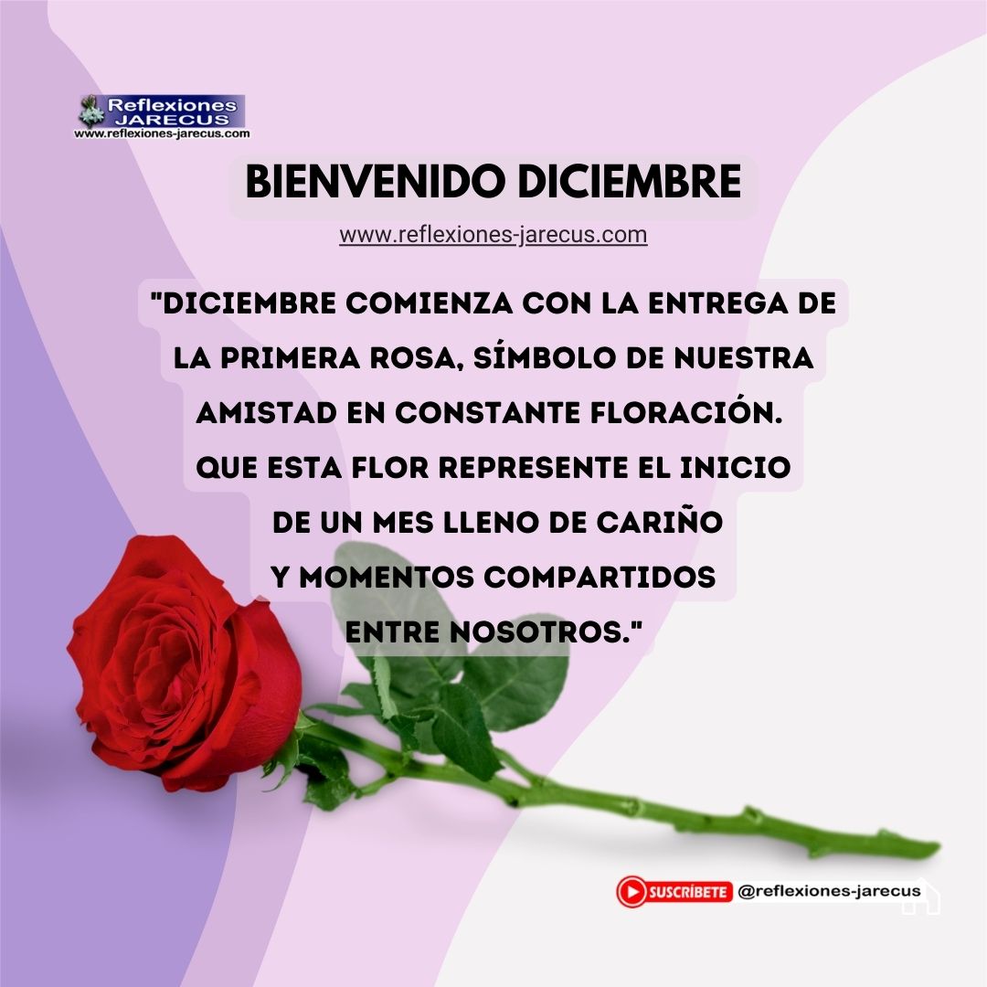 "Diciembre comienza con la entrega de la primera rosa, símbolo de nuestra amistad en constante floración. Que esta flor represente el inicio de un mes lleno de cariño y momentos compartidos entre nosotros."