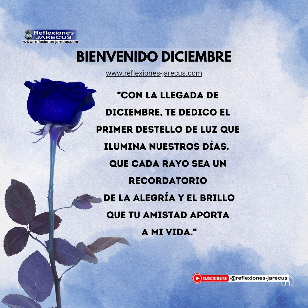 "¡Hola, diciembre! Te dedico el primer abrazo virtual lleno de cariño y afecto. Que este mes nos encuentre uniendo distancias con gestos que fortalezcan nuestra amistad."