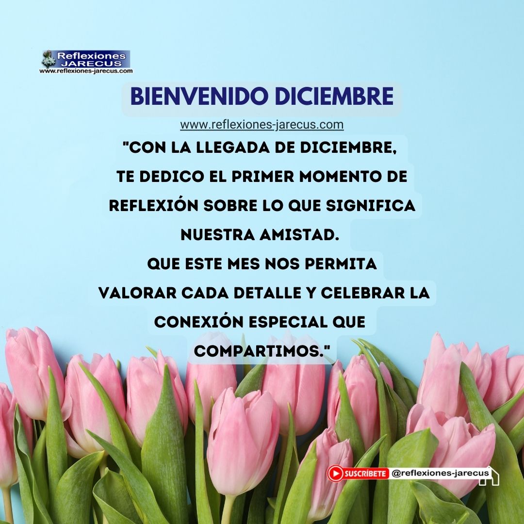 "Con la llegada de diciembre, te dedico el primer momento de reflexión sobre lo que significa nuestra amistad. Que este mes nos permita valorar cada detalle y celebrar la conexión especial que compartimos."