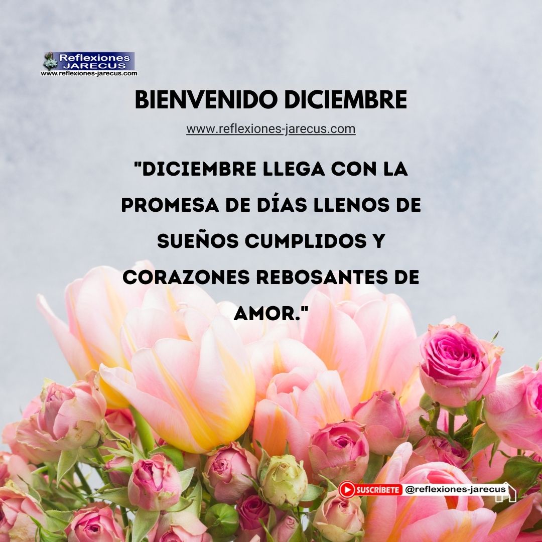 "Diciembre llega con la promesa de días llenos de sueños cumplidos y corazones rebosantes de amor."