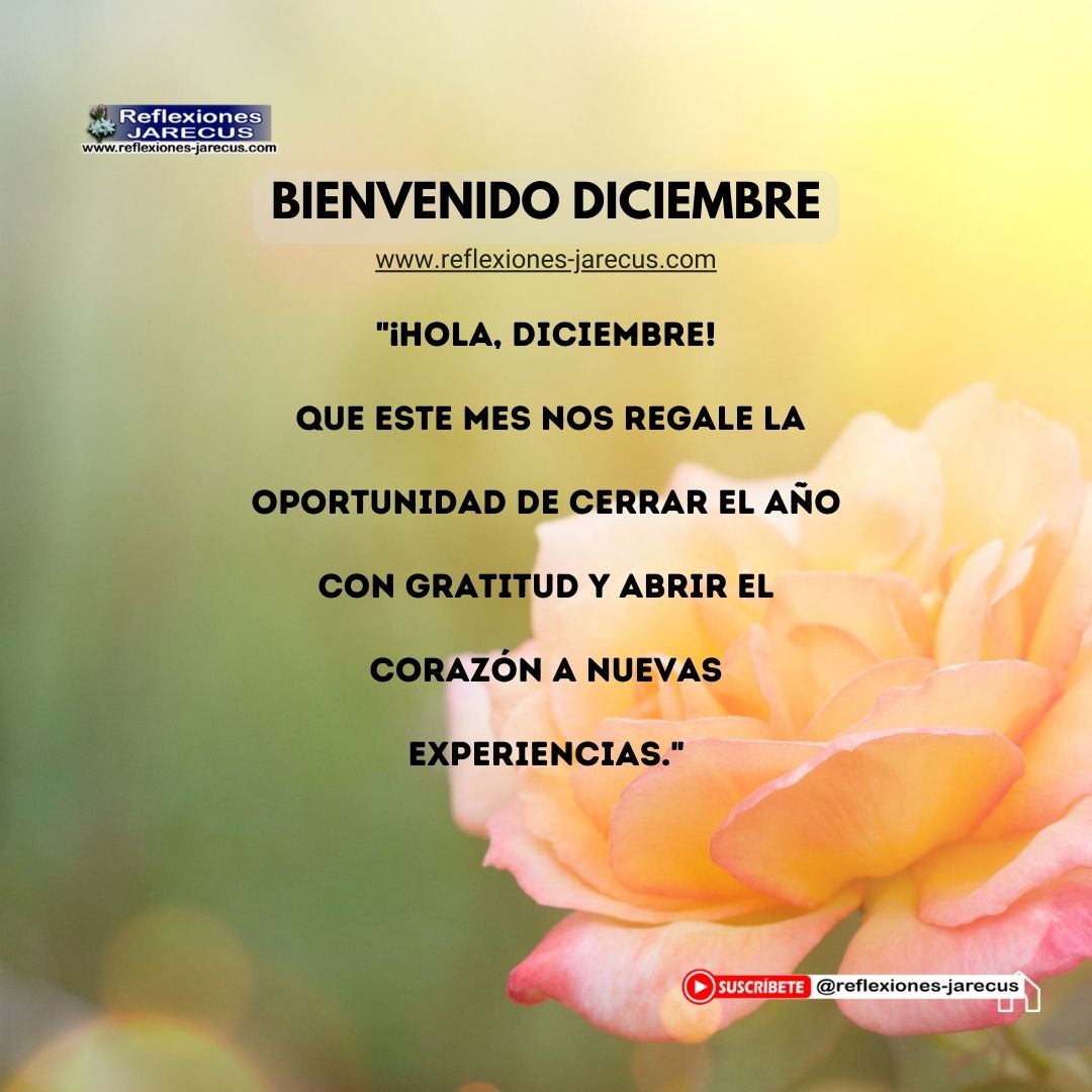"¡Hola, diciembre! Que este mes nos regale la oportunidad de cerrar el año con gratitud y abrir el corazón a nuevas experiencias."