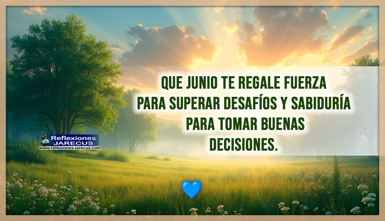 Amanecer de junio con rayos de sol entre árboles, flores silvestres en primer plano y cielo parcialmente despejado, ideal para colocar un mensaje inspirador.